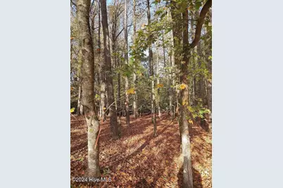 104 Gambit Court, Washington, NC 27889 - Photo 5