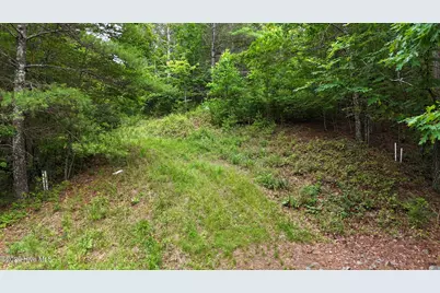 104,105 Choctaw Ridge Trail, Murphy, NC 28906 - Photo 3