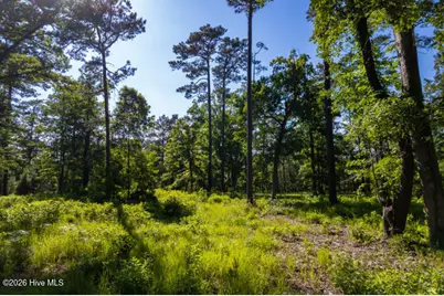 110 Queen Annes Court, Oriental, NC 28571 - Photo 13