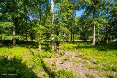 110 Queen Annes Court, Oriental, NC 28571 - Photo 15