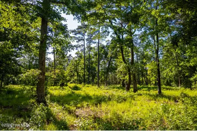 110 Queen Annes Court, Oriental, NC 28571 - Photo 13