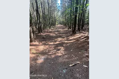 2364 Nc 102 E, Ayden, NC 28513 - Photo 21
