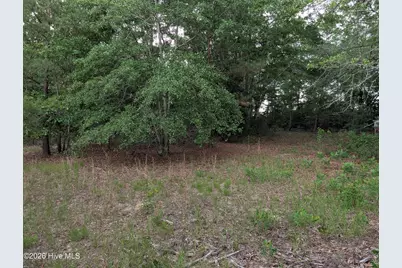 285 Garvin Drive, Wagener, SC 29164 - Photo 13