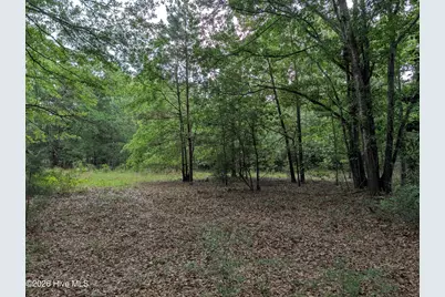 285 Garvin Drive, Wagener, SC 29164 - Photo 3