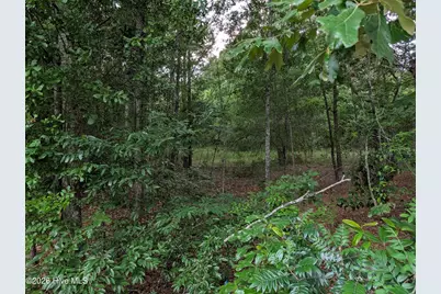 285 Garvin Drive, Wagener, SC 29164 - Photo 9