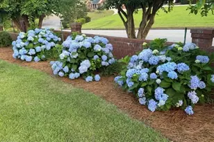 1364 Waterston Dr, Evans, GA 30809 - Photo 3