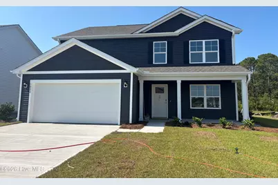 1002 Pampas Grass Drive #Lot 323, Castle Hayne, NC 28429 - Photo 1