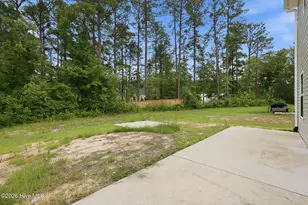 821 Conductor Ct, Vass, NC 28394 - Photo 39
