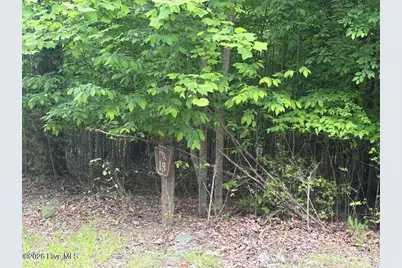 [Address not provided], Hayesville, NC 28904 - Photo 5