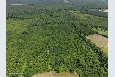 Lot 2 Bass Lake Road, Clinton, NC 28328 - Photo 11