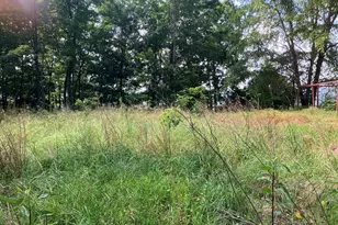Lot 51 Buck Ridge Dr, Murphy, NC 28906 - Photo 1