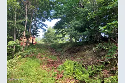 Lot 51 Buck Ridge Drive, Murphy, NC 28906 - Photo 5