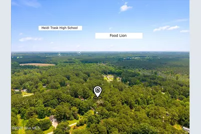 1223 Arvida Spur Road, Rocky Point, NC 28457 - Photo 3