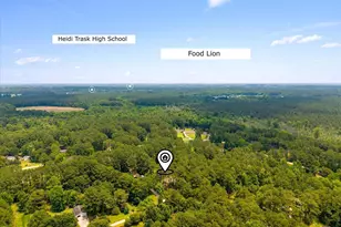 1223 Arvida Spur Rd, Rocky Point, NC 28457 - Photo 3