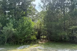 1602 Breezeway Dr SW, Ocean Isle Beach, NC 28469 - Photo 1