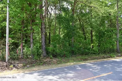 Tbd N Duffie Road, Red Springs, NC 28377 - Photo 5