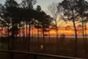 135 Heron Cove Rd, Hampstead, NC 28443 - Photo 65