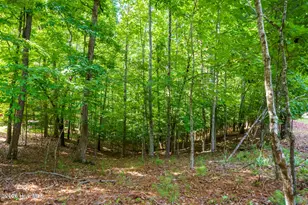 37 Grouse Holw, Murphy, NC 28906 - Photo 3