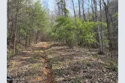 0000 Ogreeta Road, Murphy, NC 28906 - Photo 7