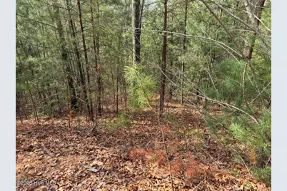 0000 Ogreeta Road, Murphy, NC 28906 - Photo 25