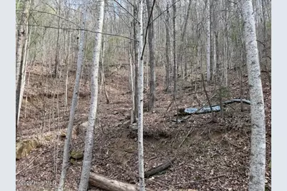 0000 Ogreeta Road, Murphy, NC 28906 - Photo 15