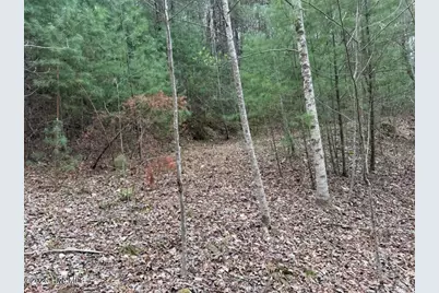 0000 Ogreeta Road, Murphy, NC 28906 - Photo 13