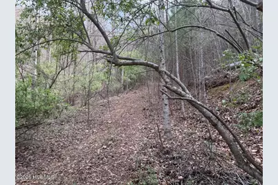 0000 Ogreeta Road, Murphy, NC 28906 - Photo 11