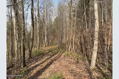 0000 Ogreeta Road, Murphy, NC 28906 - Photo 17