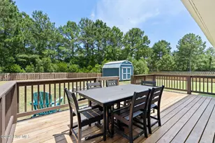 147 Snow Goose Ln, Sneads Ferry, NC 28460 - Photo 41