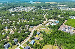 147 Snow Goose Ln, Sneads Ferry, NC 28460 - Photo 57
