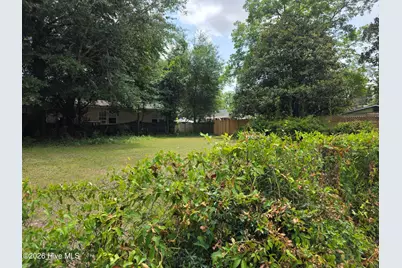 449 Clay Street, Wilmington, NC 28405 - Photo 3