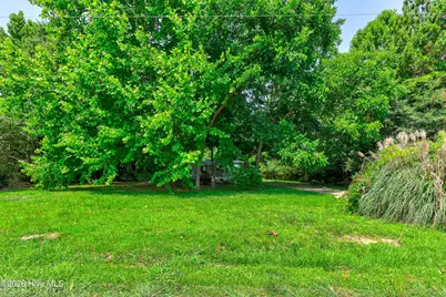 315 Messer Loop Road, Burgaw, NC 28425 - Photo 3