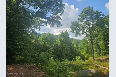 45 Meadowlark Terrace, Murphy, NC 28906 - Photo 3