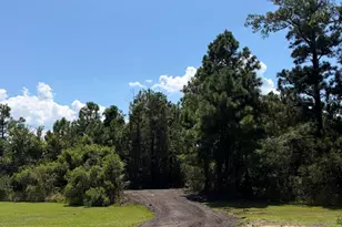 3246 Cedar Island Rd, Cedar Island, NC 28520 - Photo 41