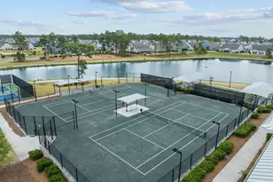 3528 Laughing Gull Ter, Wilmington, NC 28412 - Photo 61