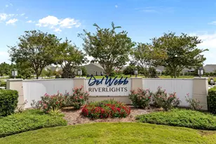 3528 Laughing Gull Ter, Wilmington, NC 28412 - Photo 1