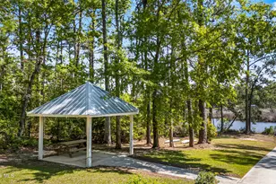 229 Gus Horne Rd, Holly Ridge, NC 28445 - Photo 61