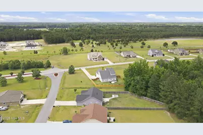 101 Trellis Lane, Vanceboro, NC 28586 - Photo 51