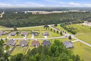 101 Trellis Ln, Vanceboro, NC 28586 - Photo 53