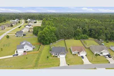 101 Trellis Lane, Vanceboro, NC 28586 - Photo 49