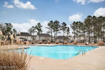 1113 Canopy Way, Wilmington, NC 28409 - Photo 73
