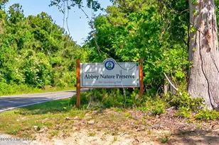 8916 Cobble Ridge Dr, Wilmington, NC 28411 - Photo 67