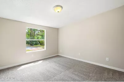 273 Lucilles Place, Burgaw, NC 28425 - Photo 15