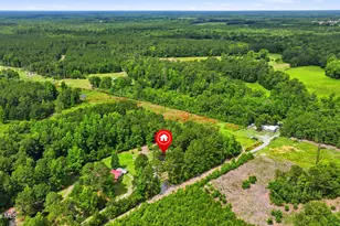 273 Lucilles Pl, Burgaw, NC 28425 - Photo 27