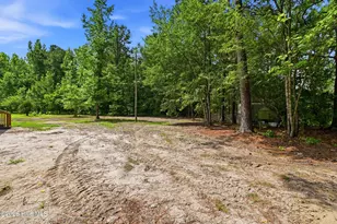 273 Lucilles Pl, Burgaw, NC 28425 - Photo 25