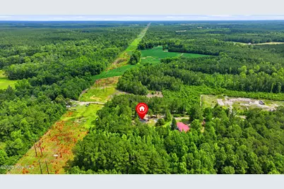 273 Lucilles Place, Burgaw, NC 28425 - Photo 29