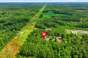 273 Lucilles Pl, Burgaw, NC 28425 - Photo 29