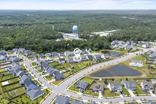 412 N Wild Indigo Pl, Hampstead, NC 28443 - Photo 59