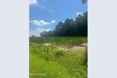 Near 721 Joe Piver Road, Chadbourn, NC 28431 - Photo 13