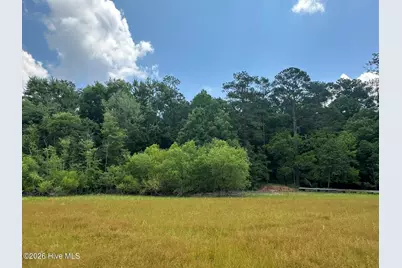 Lot 17 Lakeshore Estates Drive, Lincolnton, GA 30817 - Photo 17